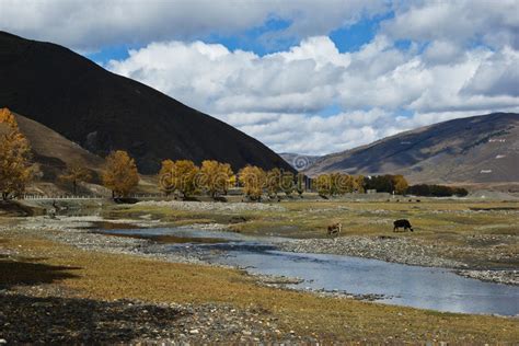 On The Qinghai Tibet Plateau Scenery Stock Image Image Of Sunlight