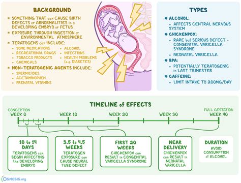 Prenatal Exposure Drugs Alcohol Characteristics