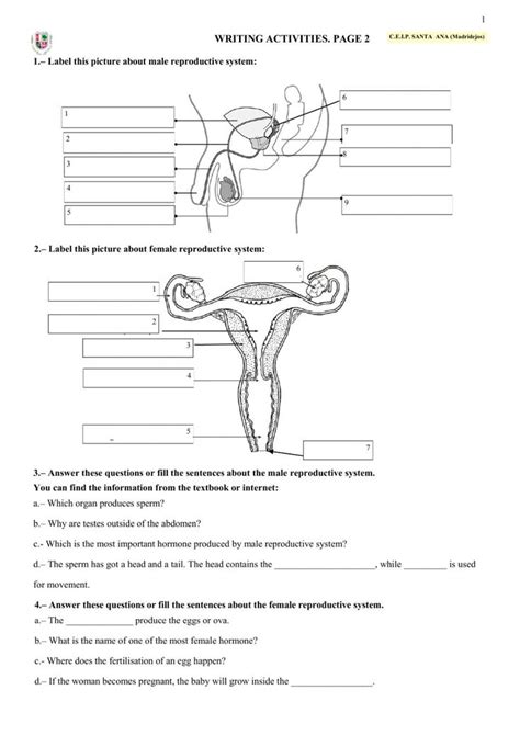 Human Reproduction Page 2 Worksheet Human Body Unit Study