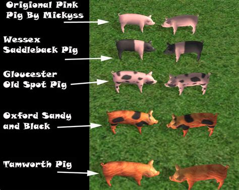 Mod The Sims Rare British Pig Breeds 4 Pig Recolours