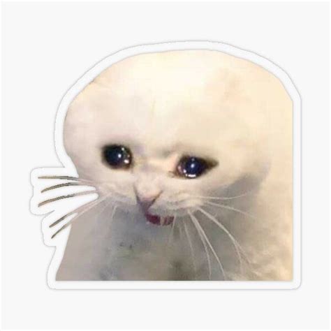 Crying Cat Meme Sticker Sticker By Kha02 In 2021 Meme Stickers Girl