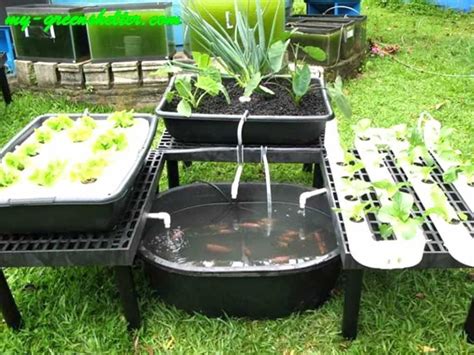 Outdoor Aquaponic With Pipes Benefits Of Aquaponic Gardening