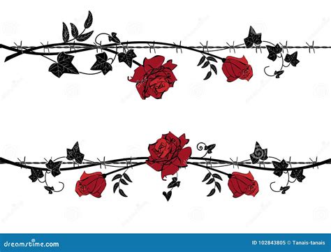 Set Of Dividers With Rose With Barbed Wire Stock Vector Illustration