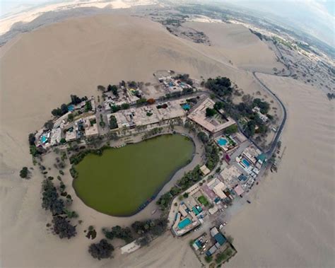 G1 Oásis Sul Americano Tem Lago E Palmeiras No Meio Do Deserto No