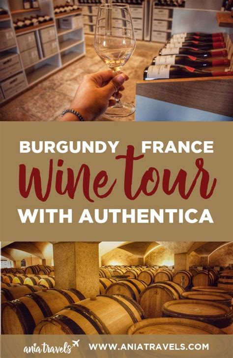 Best Wine Tour In Burgundy France With Authentica • Ania Travels
