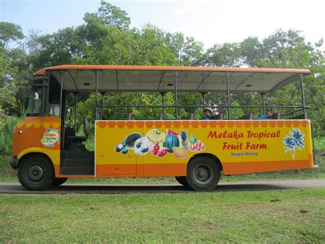 Its called the melaka tropical fruit farm in sungai udang. Joy: Adam @ Melaka Tropical Fruit Farm