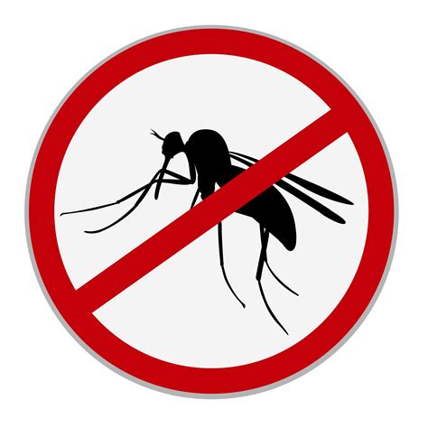 No Mosquitoes Sign Vector Mosquito Vector Graphic Illustration