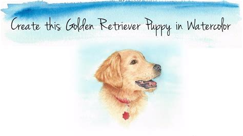 How To Paint A Golden Retriever Puppy Watercolors With Rebecca