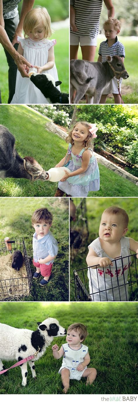 Come join us via the internet safe and fun we can sing you a happy birthday and customize a original song for your son or daughter.up grade with the animals telling all about them and educating your kids about. Eloise's Petting Zoo Birthday Party - 6 | Petting zoo ...