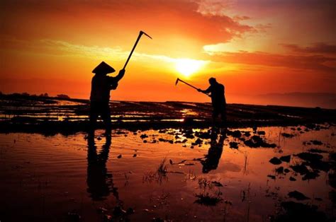Jika hanya melakukan kerja keras saja atau hanya melakukan kerja cerdas saja, tentu kita akan kalah dengan orang lain yang melakukan keduanya. Belajar Dari Filosofi Suku Jawa | SarungPreneur