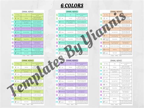 Cranial Nerves Cheat Sheets Study In Nursing