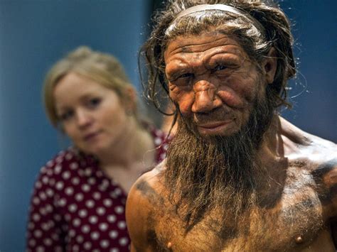 Neanderthal Genes Help Shape How Many Modern Humans Look Health News