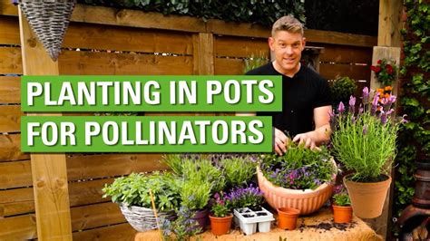 Planting For Pollinators Youtube