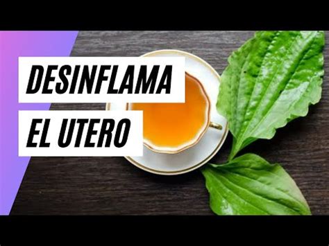 Inflamación en el útero Remedios caseros para aliviar los síntomas YouTube