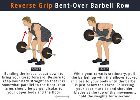 Reverse Grip Barbell Row How To Do Benefits Muscles Worked Born To
