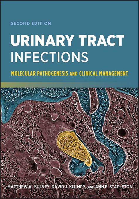 Matthew A Mulvey Urinary Tract Infections Molecular Pathogenesis