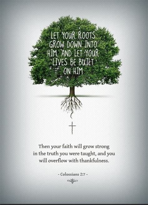 Your Roots And Let Then Your Faith Will Grow Strong In The Truth You