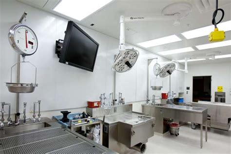 Autopsy Suite Gallery Autopsy Services College Of Medicine