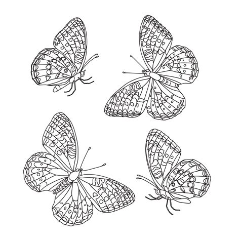 Line Art Butterfly Illustration Vector Design 14634035 Vector Art At