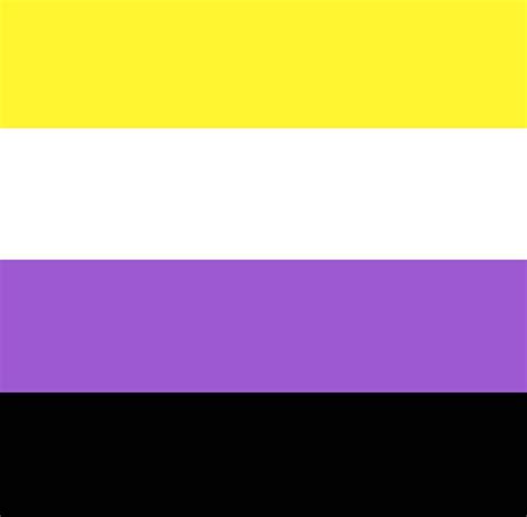 Non Binary All The Lgbtq Flags And Meanings - 17 Commonly Used LGBTQ  Flags And Their Meaning 