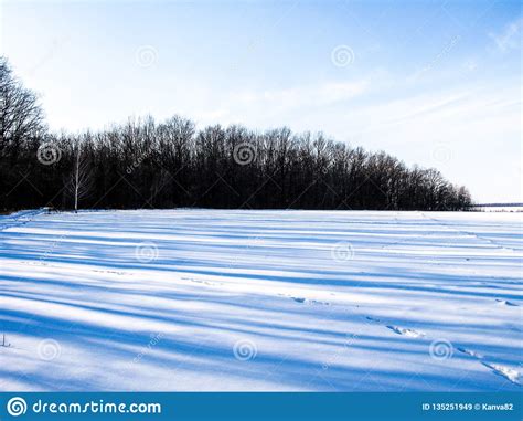 Winter Field And Forest Stock Image Image Of Nature 135251949