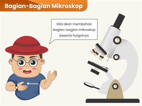 Bagian Bagian Mikroskop Beserta Fungsinya Siswapedia