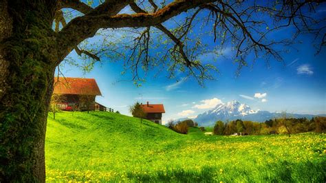 Village Spring Flowers Wallpapers Wallpaper Cave