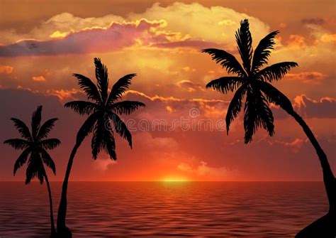 Palm Trees Silhouette At Sunset Stock Image Image Of Concept Ocean