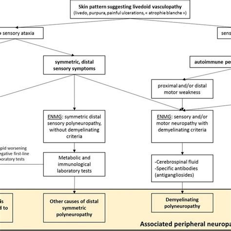 Diagnostic Approach For Peripheral Neuropathies Associated With