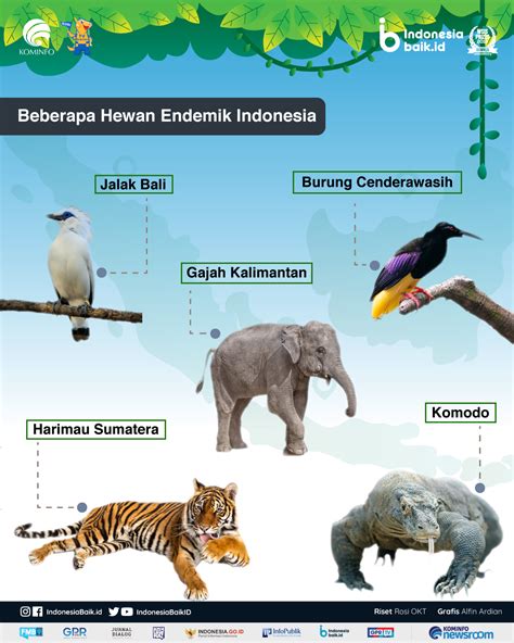 Hewan Endemik Indonesia Indonesia Baik
