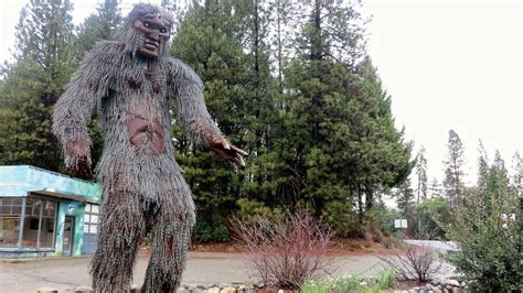 On Bigfoots Trail In Remote Northern California Bbc Travel