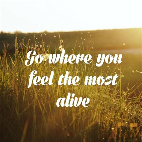Go Where You Feel The Most Alive Quote Of The Day How Are You