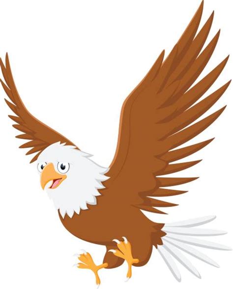 Best Eagle Funny Illustrations Royalty Free Vector