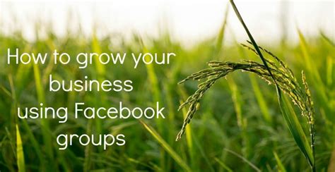 Give people the power to build community and. 10 steps to grow your business using Facebook groups ...