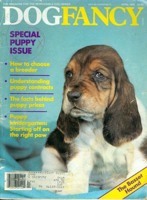 1990 Dog Fancy Magazine Basset Houndpuppy Issuechoose A Breeder