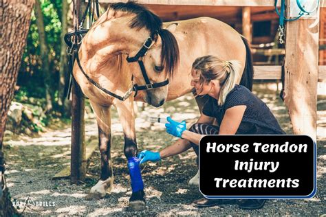 Horse Tendon Injury Signs Types And Treatments