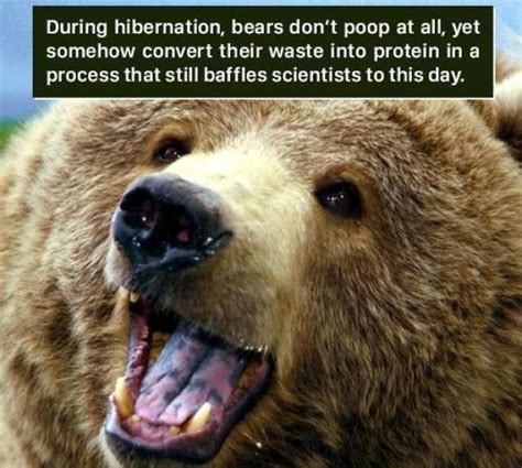 18 Super Weird Facts About Living Creatures That No One Asked For