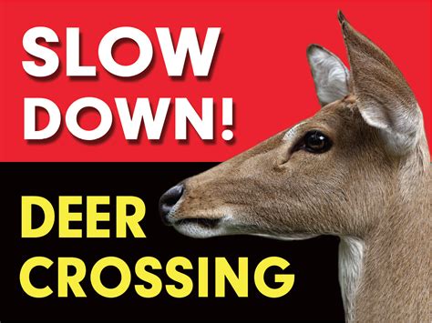 Deer Crossing Sign — Citizens For Los Angeles Wildlife