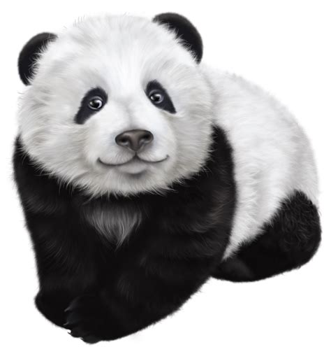 Giant Panda Drawing Illustration Panda Transparent Clip Art Image Png