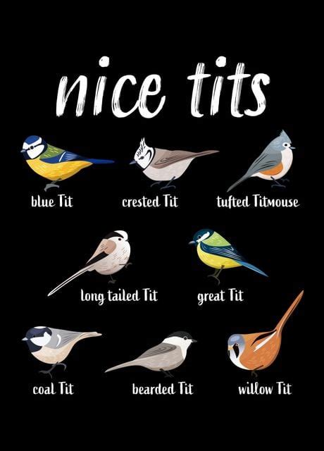 Funny Bird Pun Nice Tits Poster By Philip Anders Displate