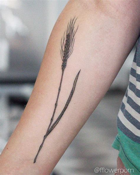 See more ideas about wheat drawing, wheat tattoo, wheat. Single wheat straw tattoo - Tattoogrid.net