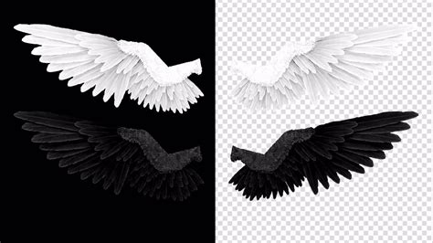 White Black Angel Wing Sets Stock Motion Graphics Motion Array