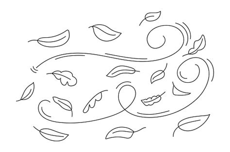 Autumn Leaf Line Sketch Vector Wind Doodle Blows Leaf Falls Down Strong