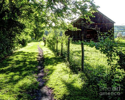 Rural Path Photograph By Betsy Zimmerli Fine Art America