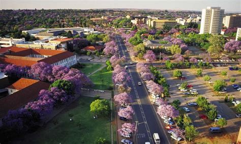 Discover the best of gauteng so you can plan your trip right. Holidays to Gauteng, South Africa
