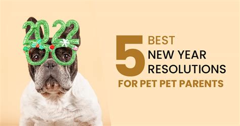 5 Best New Year Resolutions For Pet Owners Blog Waggle