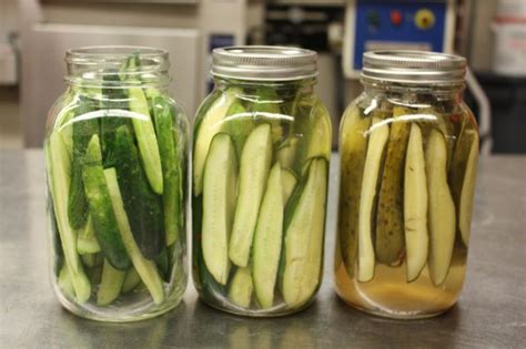 I Want To Learn To Can Look At How These Cucumbers Transformed Into