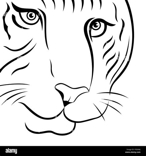 Tiger Face Outline Drawing