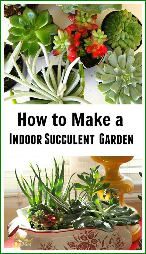 Check the plant tags for specifics to group succulents with similar needs in a container. How To Make An Indoor Succulent Dish Garden