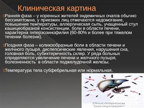 Диета после лечения бильтрицидом